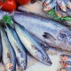 Los hombres que consumen más cantidad de pescado tienen un esperma de mayor calidad