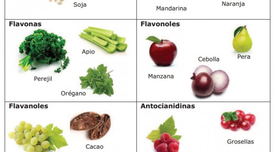 alimentos ricos en flavonoides